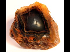 k1199