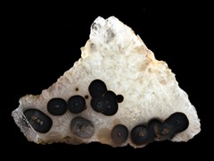 k1211