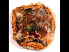 k1216