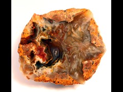 k1217