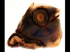 k1218