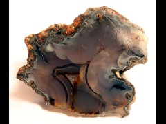 k1238