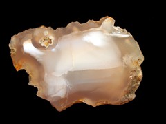 k1264