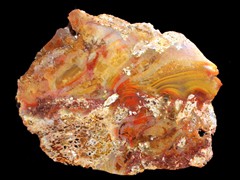 k1267