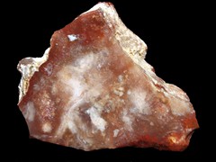 k1281