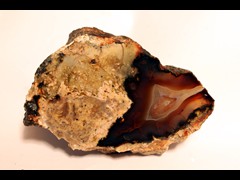 k1284