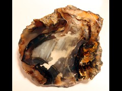 k1293