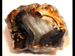 k1294