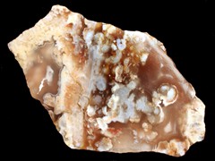 k1295