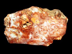 k1298