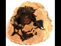 k1326
