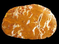 k1339