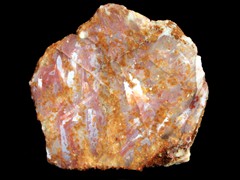 k1376