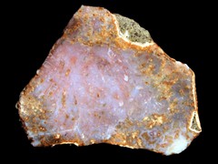 k1398