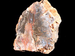 k1424