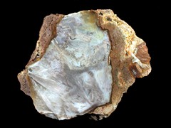 k1573