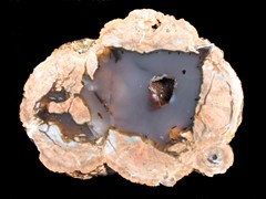 k1607
