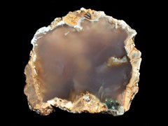 k1621