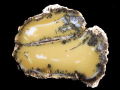 k1647