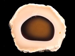 k1651