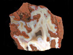 k1693