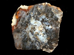 k1698