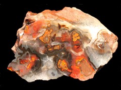 k1729