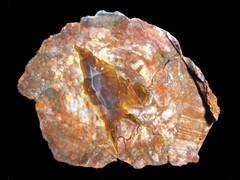 k1794
