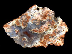 k1861