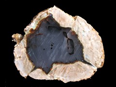 k1872