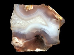 k1881