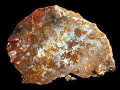 k1906