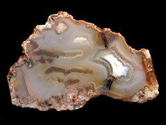 k1955