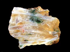 k1969