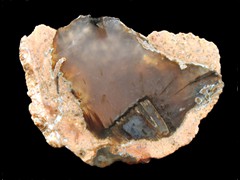 k1973