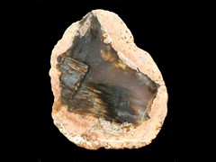 k1974