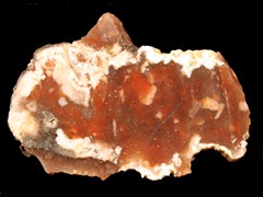 k1995