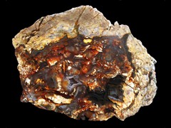 k2073