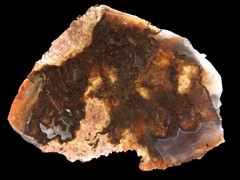 k2123