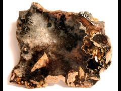 k2146