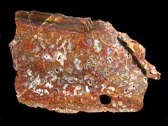 k2173