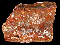 k2205