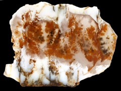 k2267_2 (2)