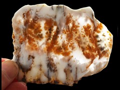 k2267_3 (2)