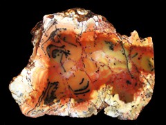 k2271