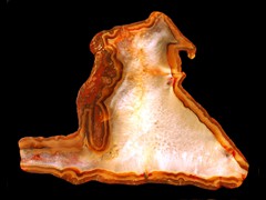 k2288