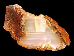 k2372