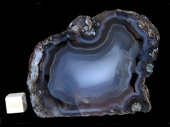 k2551