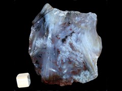 k2559