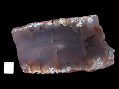k2634